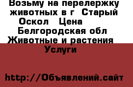 Возьму на перелержку животных в г. Старый Оскол › Цена ­ 200 - Белгородская обл. Животные и растения » Услуги   